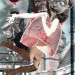 No54 Cinema Dada Mail Art Call - Exhibition 2018 in Austin USA - Exquisite Corpse - Tricoallge by - Head Sabine Remy - Body and background Josephine - Legs Lynn Skordal - 2017 thumbnail