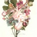 Valentine´s Bouquet thumbnail