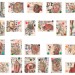 Anatomisches Alphabet A - Z thumbnail