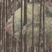 Der Butt / The Flounder thumbnail
