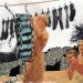 Waschtag / Laundry Day thumbnail