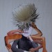 Spinnenfrau / Spider woman thumbnail