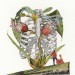 Zwei Herzen / Two Hearts thumbnail