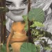 Versteckt / Hidden thumbnail