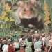 Willis Abenteuer / Willi´s Adventures thumbnail