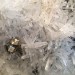 Naturkundemuseum Berlin - Mineralogie/Petrographie - Quarz/Pyrit/Sphalerit aus Peru thumbnail
