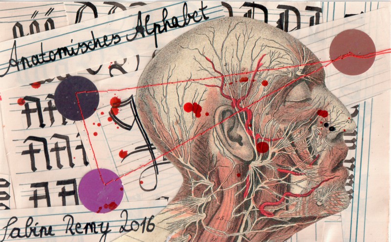 Titelblatt Anatomisches Alphabet - Cover