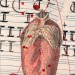 Anatomisches Alphabet T thumbnail