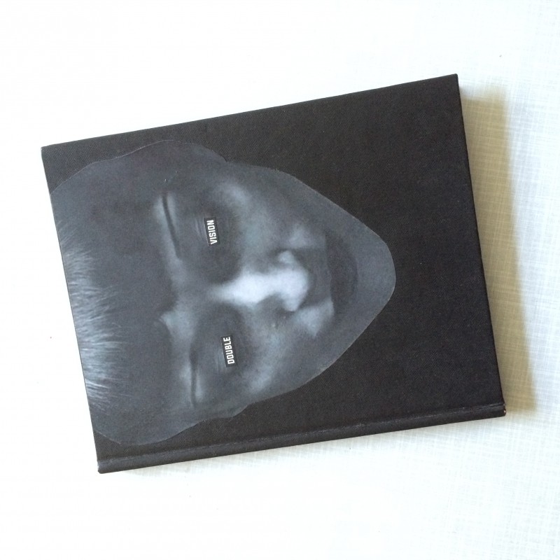 No40 Lynn Skordal and Sabine Remy - Double Vision - altered book - 2015
