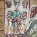 Anatomische Tafel thumbnail