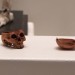 Miniatur-Totenkopf aus einem Kirschkern 19. Jhd. - Wunderkammer Olbricht<br>Miniature skull from a cherry stone 19th century - Wunderkammer Olbricht thumbnail