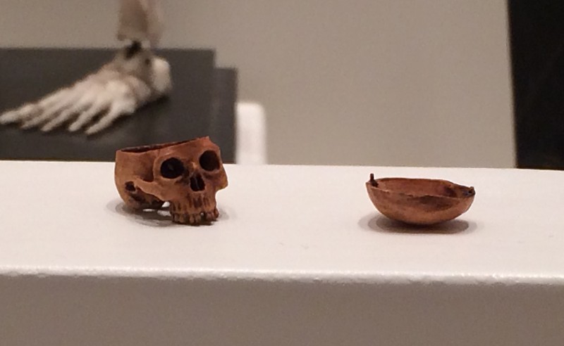 Miniatur-Totenkopf aus einem Kirschkern 19. Jhd. - Wunderkammer Olbricht<br>Miniature skull from a cherry stone 19th century - Wunderkammer Olbricht