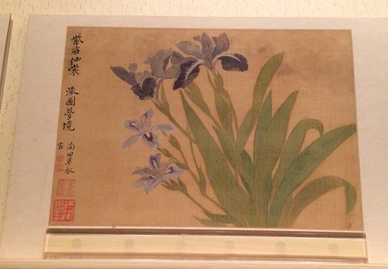 Flowers - by Yun Ahouping (1633-1690) - Album Leaves - Qing Dynasty (2)