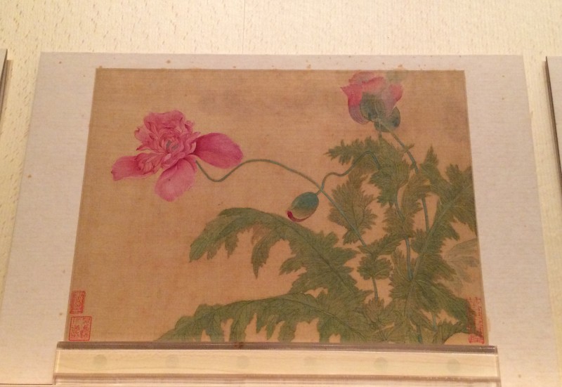 Flowers - by Yun Ahouping (1633-1690) - Album Leaves - Qing Dynasty (3)