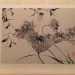 Flowers in Ink - by Chen chun (1483 - 1544) - Album - Ming Dynasty (5) thumbnail