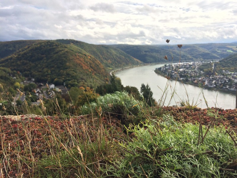 Blick auf den Rhein von der Marksbrug<br>View on the Rhine from Marksburg 