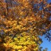 Ein wunderschöner Herbsttag in der Eifel<br>A wonderful autumn day in the Eifel thumbnail