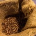 Senfsaat<br>Mustard seed thumbnail