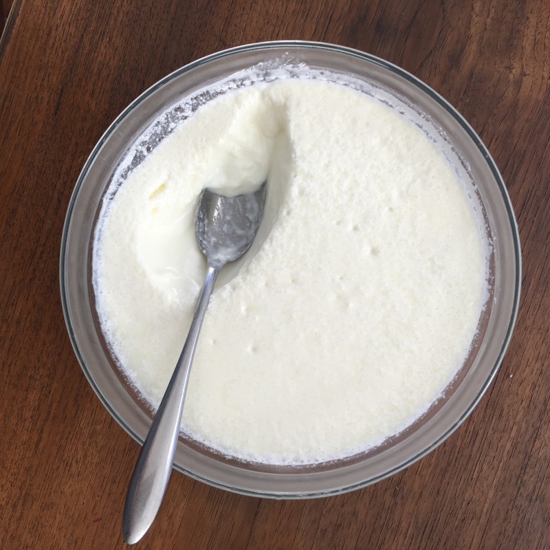 Selbstgemachter Joghurt / Homemade Joghurt