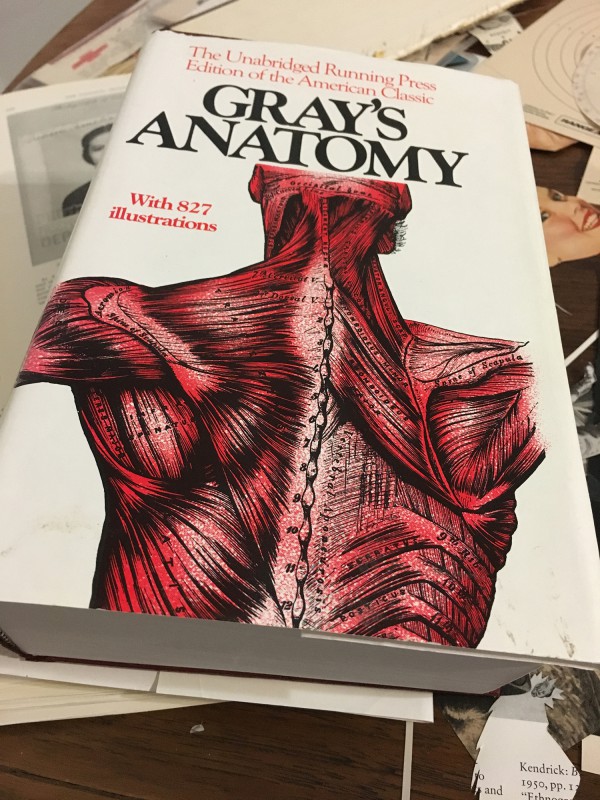 Anatomybuch in einem der unzähligen Secondhandläden gefunden / Anatomy book found in one of the countless second-hand shops