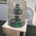 PAPA MAMA DADA - Neue Sächsische Galerie Chemnitz - Sprechender Papageienautomat / talking parrot automat  thumbnail