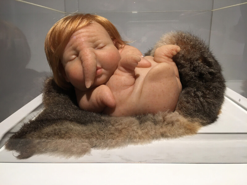 Patricia Piccinini - Newborn - 2010 -Osthaus Museum Hagen - Lebensecht